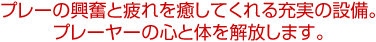 �v���[�̋����Ɣ�������Ă����[���̐ݔ��B�v���[���[�̐S�Ƒ̂�������܂��B