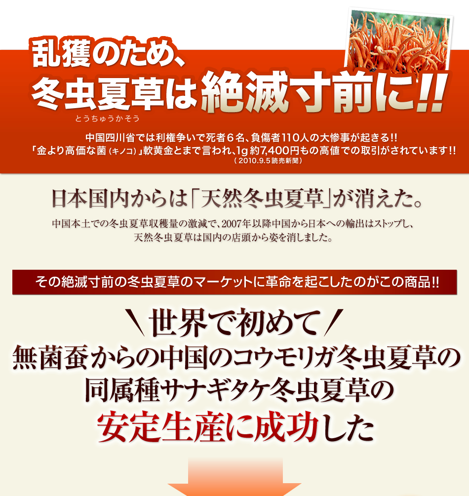 商品のご案内 | 松原冬虫夏草 | カイタックグループ ヘルスケア事業部