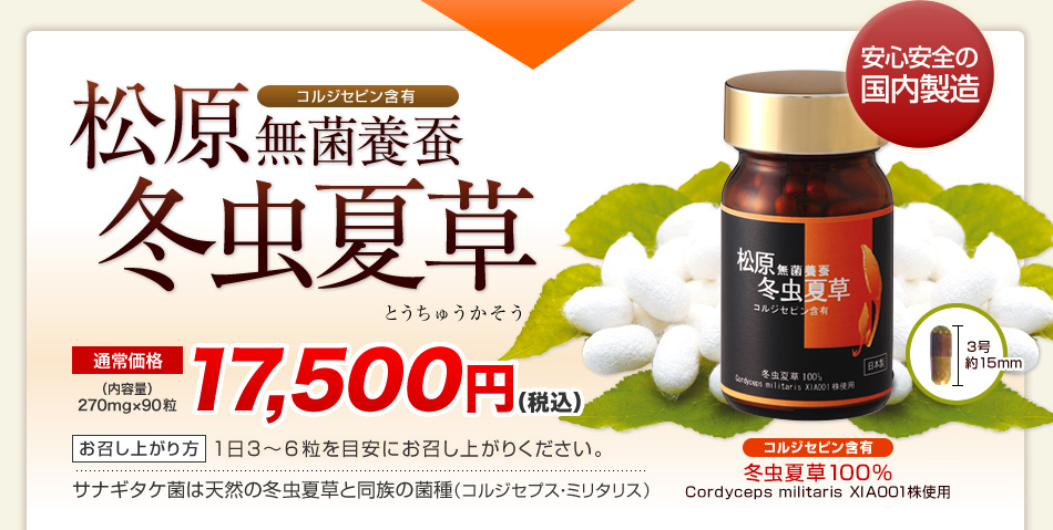 保障できる 冬虫夏草エキス顆粒レギュラー 100ｇ×3個セット 冬虫夏草菌糸体培養エキス fucoa.cl